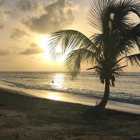 Studio Tahiti Vue Mer Сен-Франсуа Экстерьер фото