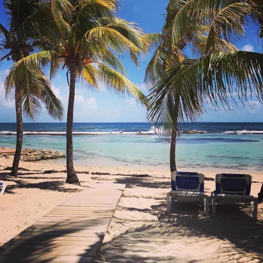 Studio Tahiti Vue Mer Сен-Франсуа Экстерьер фото