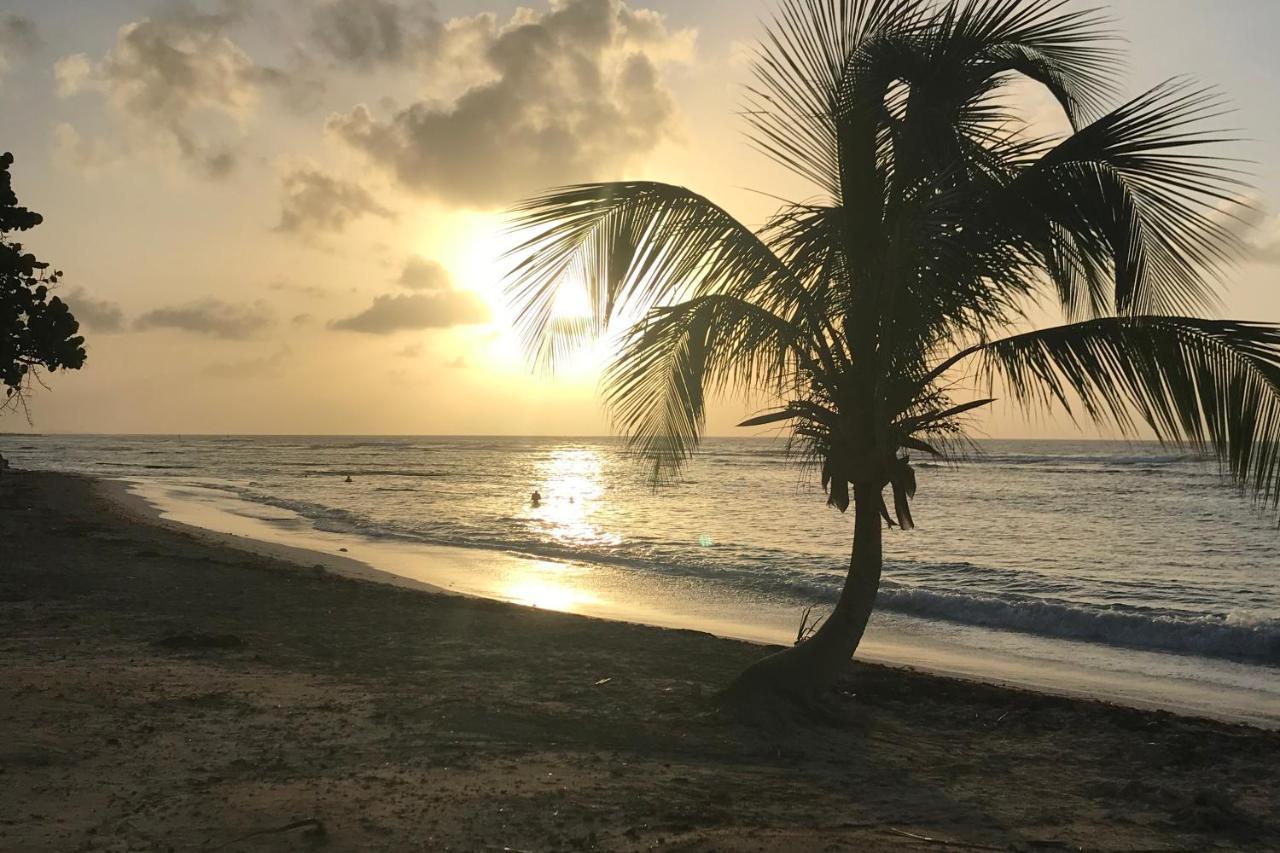 Studio Tahiti Vue Mer Сен-Франсуа Экстерьер фото